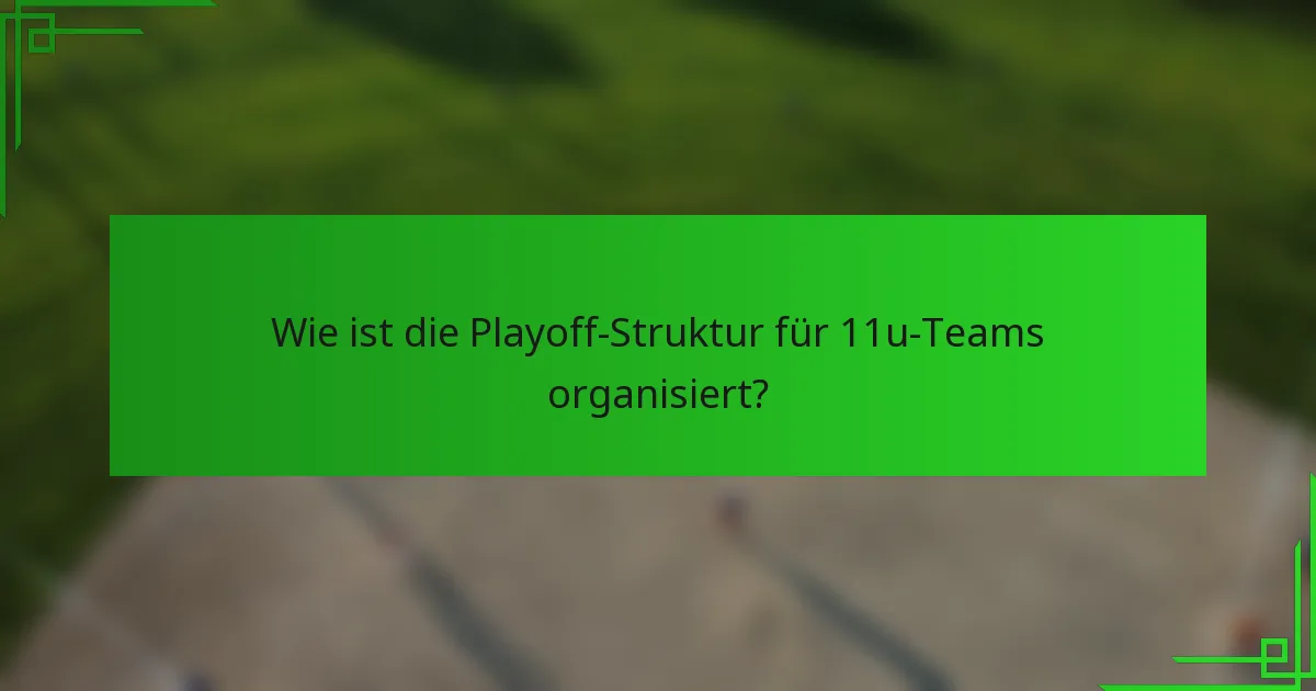 Wie ist die Playoff-Struktur für 11u-Teams organisiert?